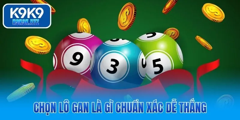 Hiểu lô gan là gì để soi chuẩn