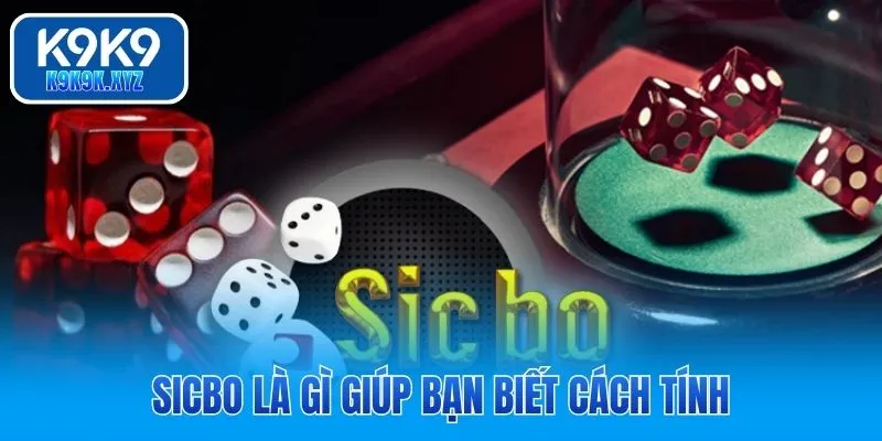 Sicbo là gì giúp bạn biết cách tính
