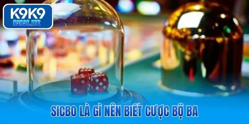 Sicbo là gì nên biết cược bộ ba